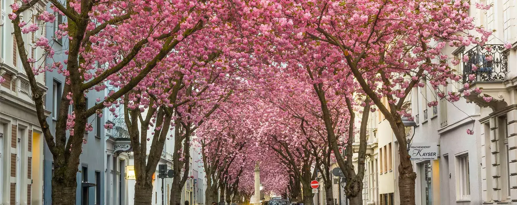 about oberkassel tech